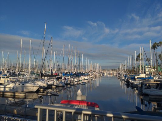 Schooner Or Later by null