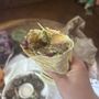 Photo of Yalla Shawarma
