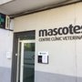 Photo of Mascotes