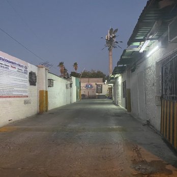 Tatanka - Look for the alley - Seafood Near Me - La Paz, BCS Tatanka - Look for the alley - Seafood Near Me - La Paz, BCS