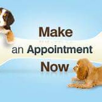 8 x 8 x 12 terrarium