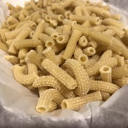 Primi Piatti Market - The fresh rigatoni.