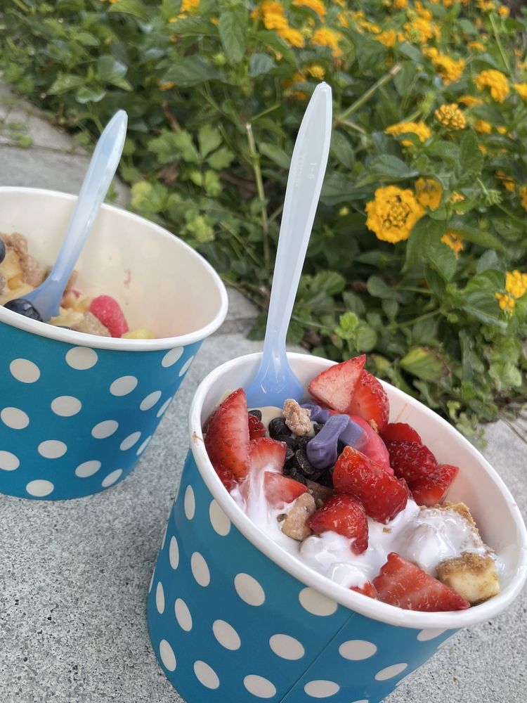 THE YOGURT SHOPPE Updated May 2024 10 Photos & 27 Reviews 2901