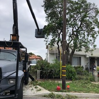 Reynoso Tree Service - Tree Services Near Me - Hawthorne, California Reynoso Tree Service - Tree Services Near Me - Hawthorne, California