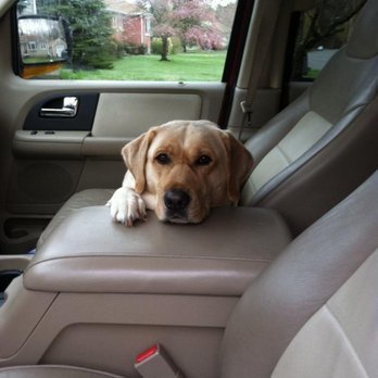Dunrovin Farm, LLC - Cruisin - Pet Stores Near Me - Halifax, Massachusetts