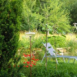 Landhaus Korte - Im Garten
