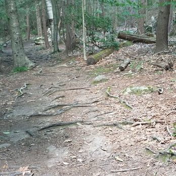 Burr Pond State Park - Look where you're walking - Parks Near Me - Torrington, Connecticut