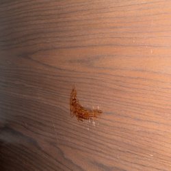 Residence Inn Akron- Green - Blood in Room