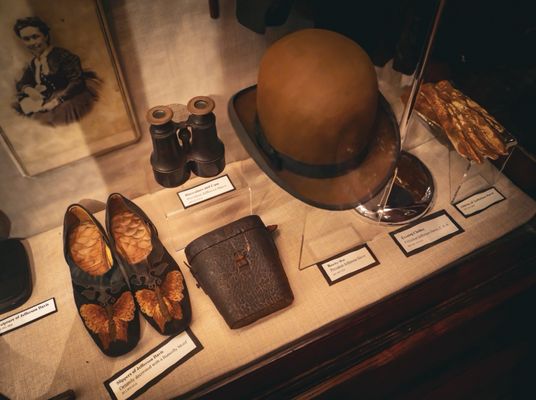 Confederate Memorial Hall Museum by null