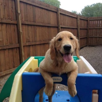The Dog Spot - Follow us on Facebook - Pet Sitting Near Me - Ankeny, Iowa The Dog Spot - Follow us on Facebook - Pet Sitting Near Me - Ankeny, Iowa