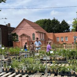 Meadow City Native Plant Nursery - View of the nursery.