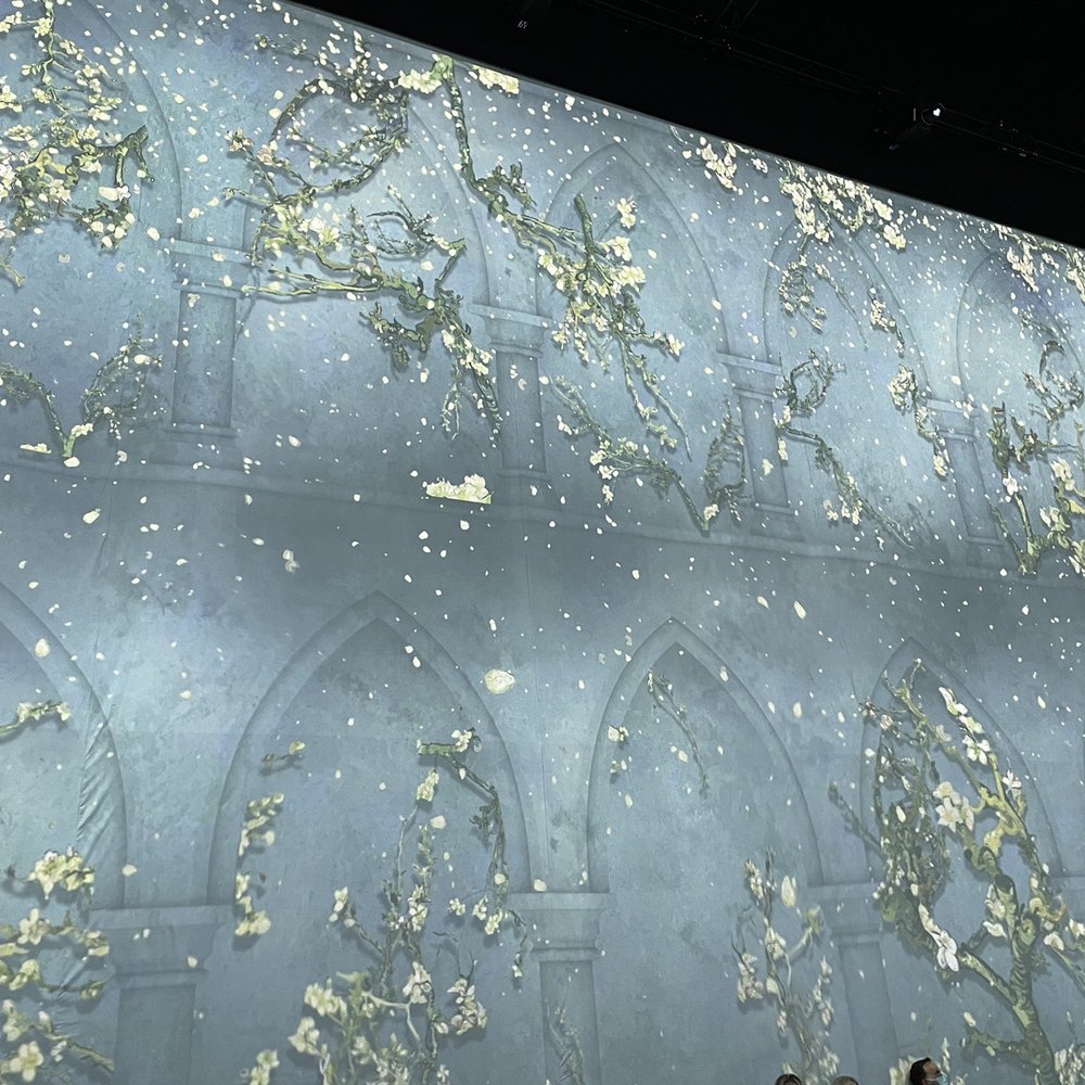 Van Gogh: The Immersive Experience - This roughly 30 minute 'movie' highlighting many of Van Gogh's works is so lovely and relaxing. You can come and go as you please - Art Galleries Near Me - Arlington, Texas