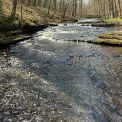 Stillhouse Hollow Falls Trail