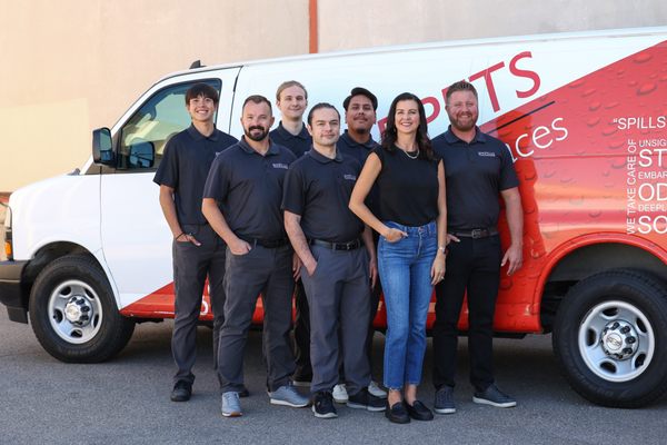 Cleaner Carpets & Surfaces