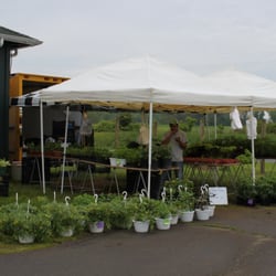 Archwood Green Barns Farmers' Market - Jose and his wonderful veggies