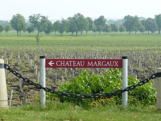 Château Margaux by null