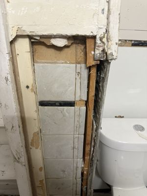 Proper Function Plumbing Logo