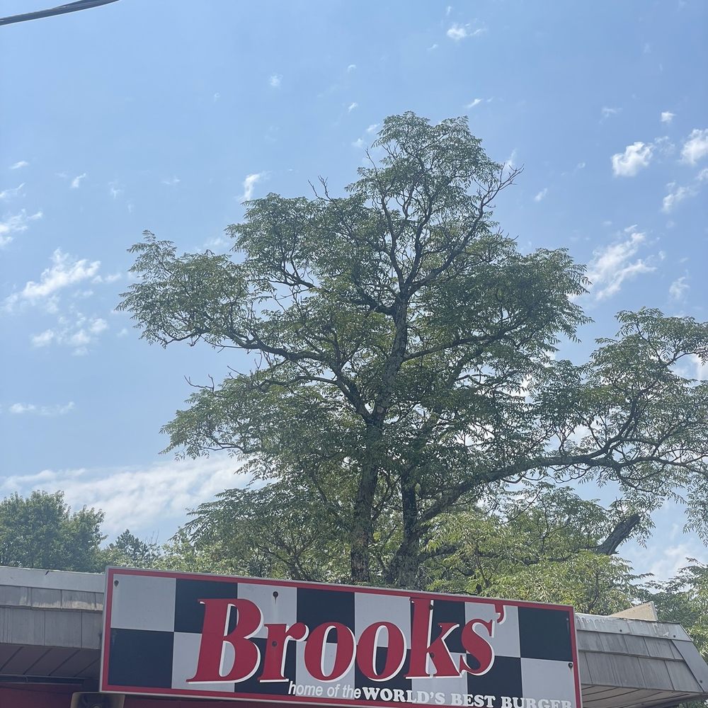 Brooks Sandwich House - Sign - Sandwiches Near Me - Charlotte, North Carolina Brooks Sandwich House - Sign - Sandwiches Near Me - Charlotte, North Carolina