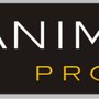 Photo of Animas Properties