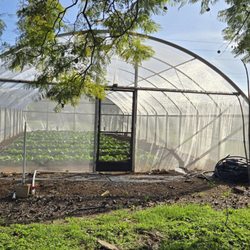 Oahu Urban Garden Center