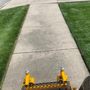 Photo of Louis Lawncare