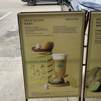 Molly Tea - Coffee & Tea Near Me - Houston, Texas Molly Tea - Coffee & Tea Near Me - Houston, Texas