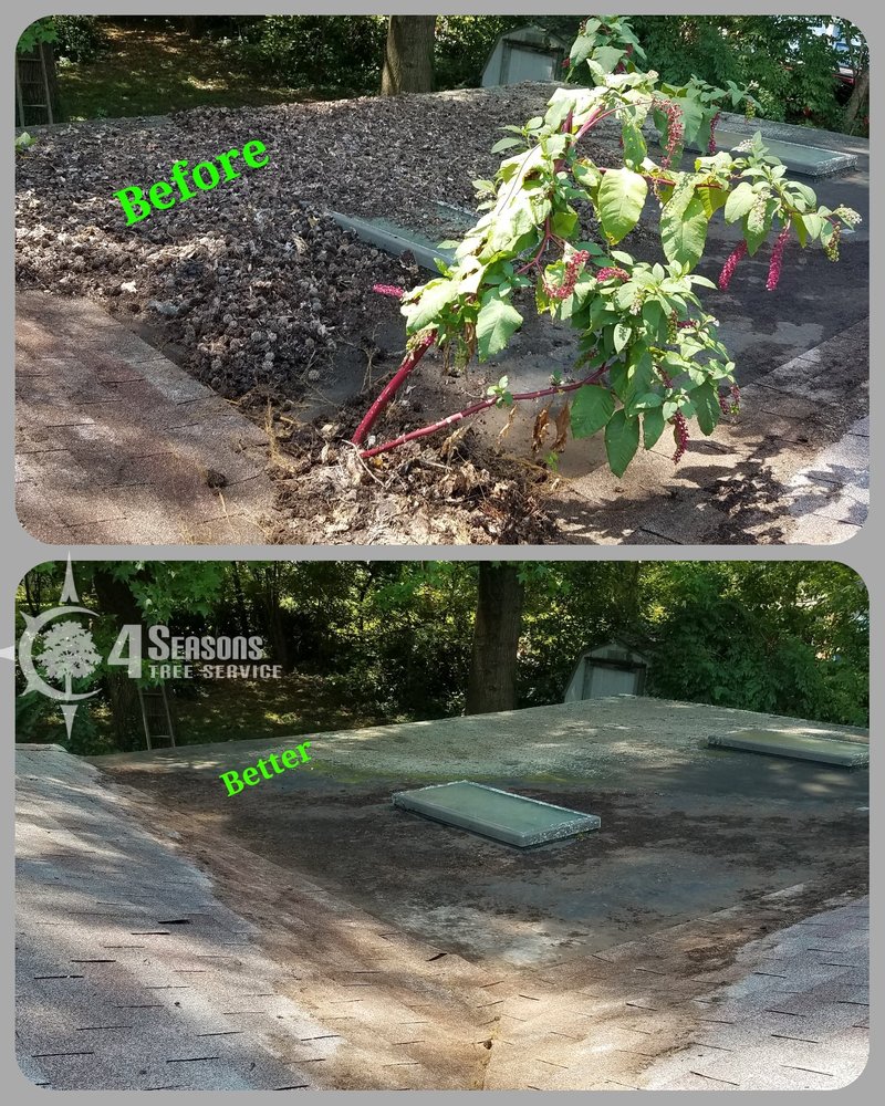 4 Seasons Tree Service - tree service in Springfield, MO