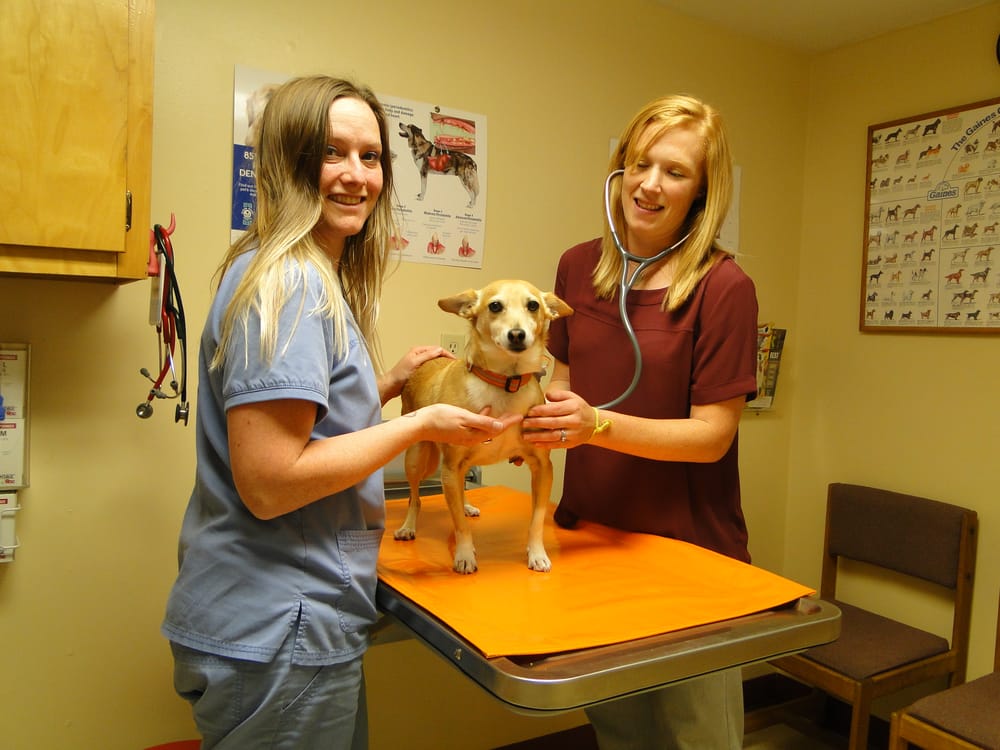 LAKE COUNTY VETERINARY CLINICS Updated August 2024 557 Scenic Dr