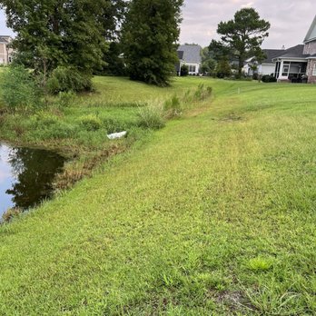 Waccamaw Management - Property Management Near Me - Pawleys Island, South Carolina
