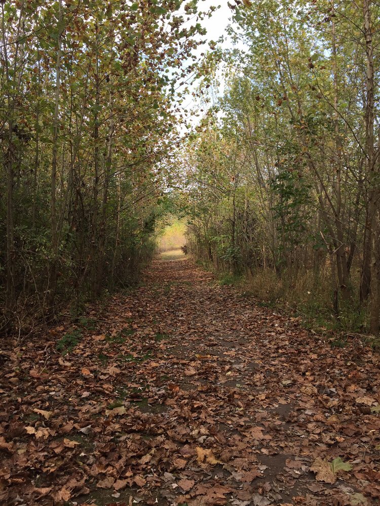 RIVERSIDE WOODS TRAILS Updated August 2024 Eller Road, Fishers