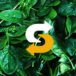 Subway - Onalaska
