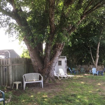 Warwick Tree Service - Tree Services Near Me - Coventry, Rhode Island