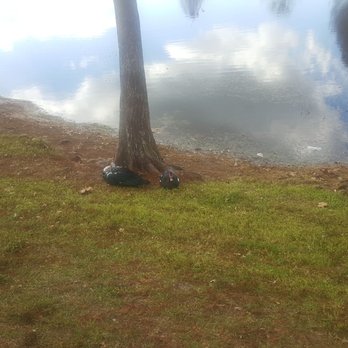 Barber Park - Dog Parks Near Me - Orlando, Florida