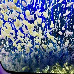 Santa Maria Wash & Lube - Cash wash!