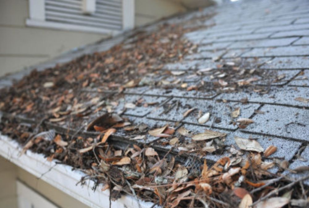 GUTTER CLUTTER GONE Updated August 2024 13 Photos Yakima, Washington Irrigation Phone