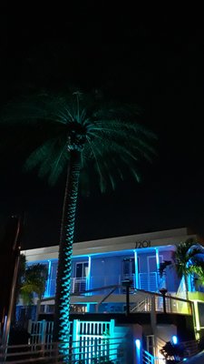 The Saint Hotel by null