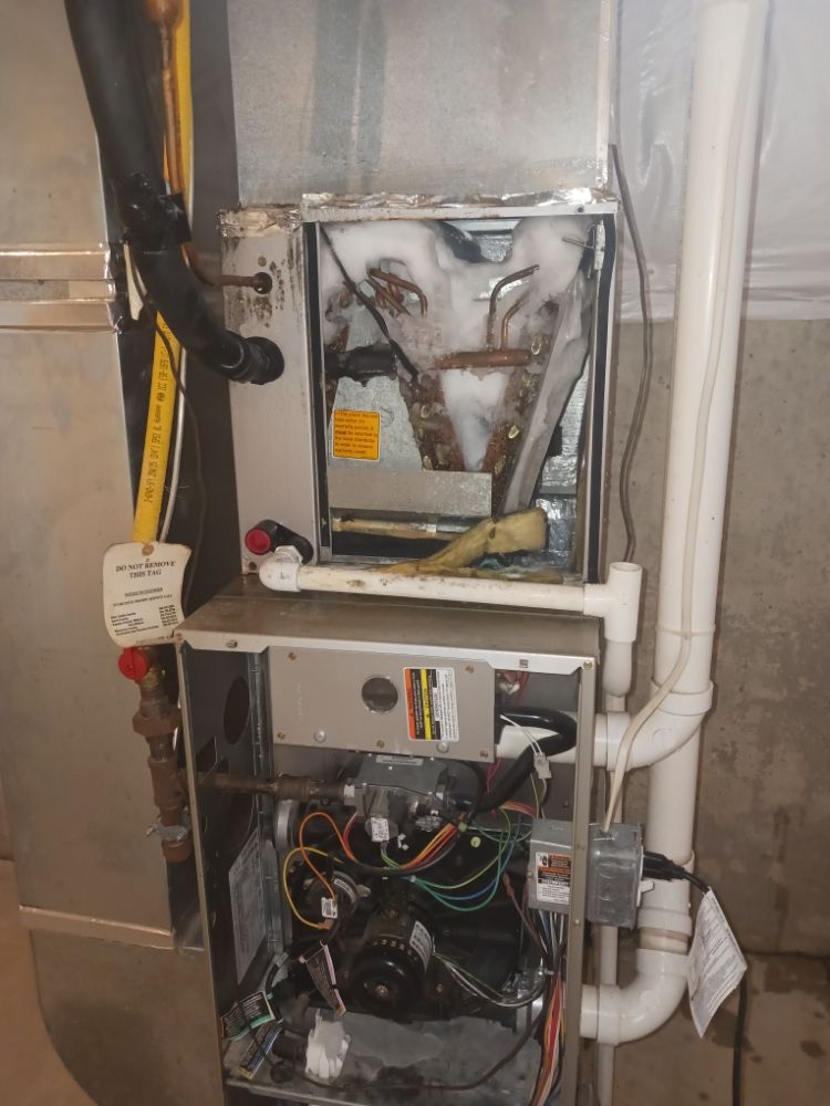 Slide of Jenalia Mechanical