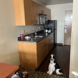 Aspen Extended Stay Suites - Dogs welcome.