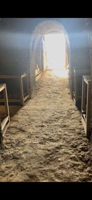 Bodega El Capricho by null