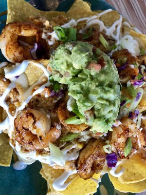 13 Tacos and Taps by null