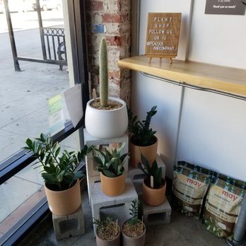 Black Ring Coffee Roasters - Plants right as you come in! - Coffee Roasteries Near Me - Long Beach, California Black Ring Coffee Roasters - Plants right as you come in! - Coffee Roasteries Near Me - Long Beach, California