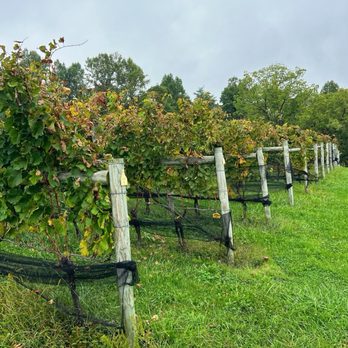 Hipstoricdc - Wine Tours Near Me - Washington, DC, District of Columbia
