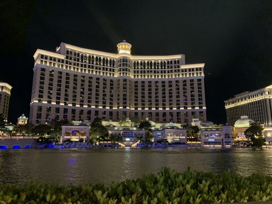 Bellagio Pool by null