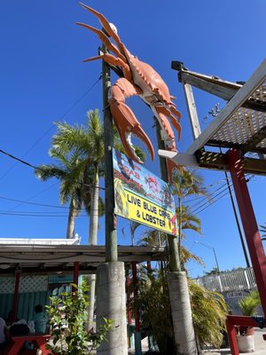 MS APPLES CRAB SHACK - Updated November 2024 - 400 Photos & 255 Reviews