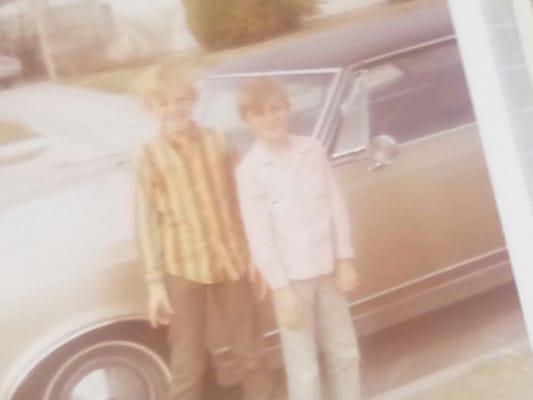 SAFEWAY - 40 Photos & 68 Reviews - 24040 Bothell Everett Hwy, Bothell