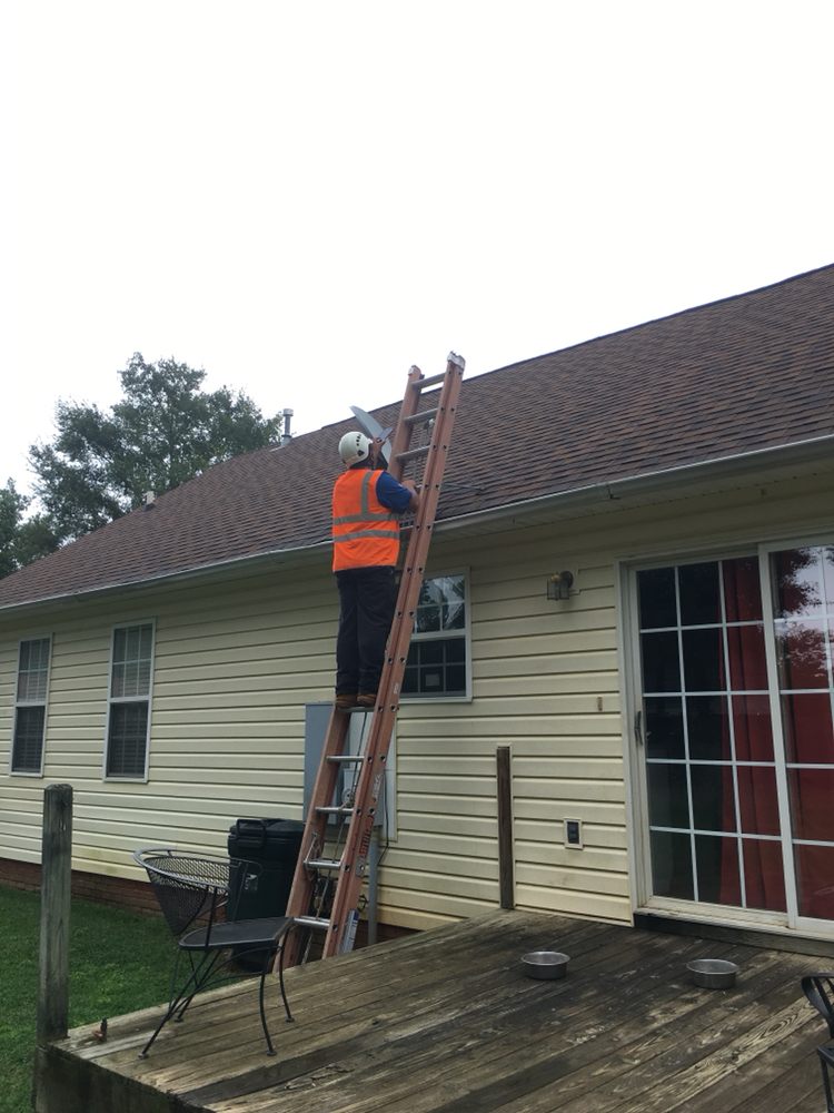 Slide of Bee Roofing