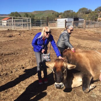 Farm Sanctuary - Animal Shelters Near Me - Acton, California