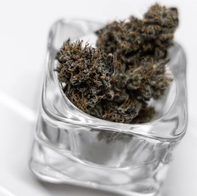The Hemp Social - Downtown THC, CBD, KRATOM, KAVA, WELLNESS MUSHROOMS, NOOTROPICS & MAD HONEY! by null