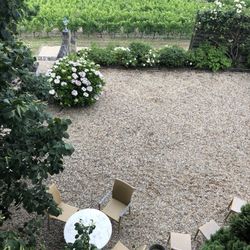 Château Belles-Graves - The western gardens and vines.