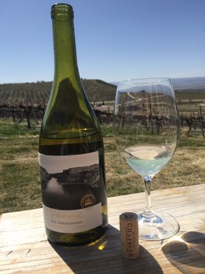 Ste. Chapelle Winery & Tasting Room by null